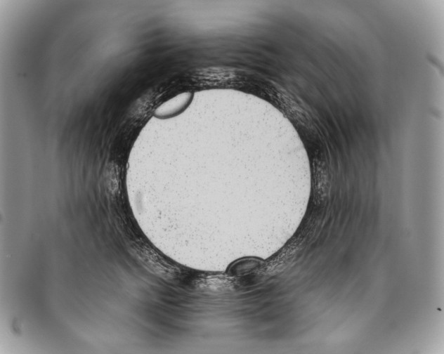 X0000095890758200802081117