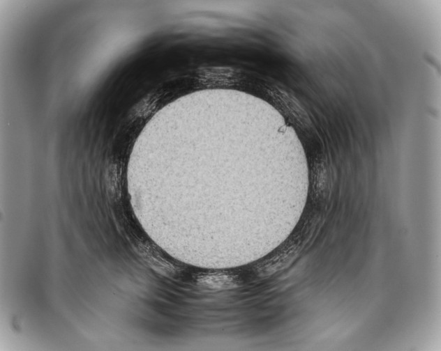 X0000095890759200802081117