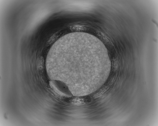 X0000095890760200802081117