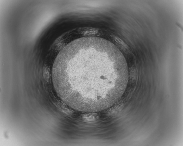 X0000095890761200802081117