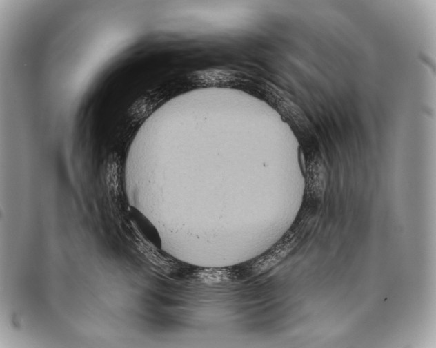 X0000095890762200802081117