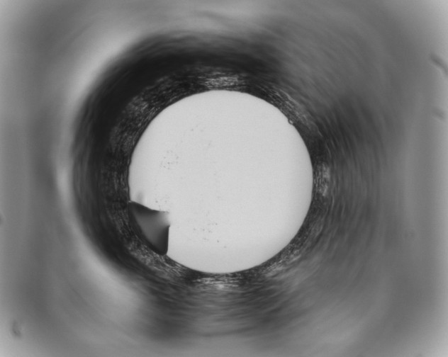 X0000095890763200802081117