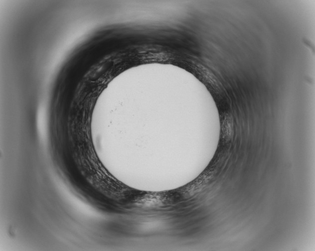 X0000095890764200802081117