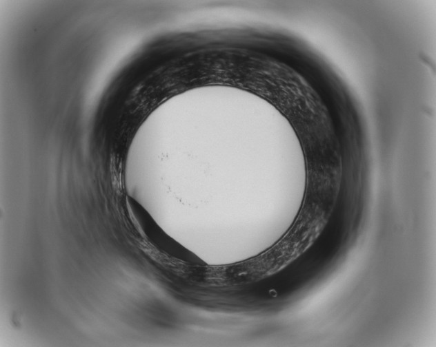 X0000095890766200802081117