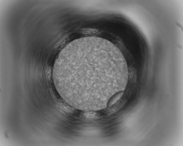 X0000095890767200802081117