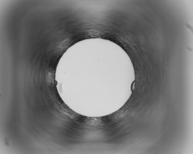 X0000095890768200802081117