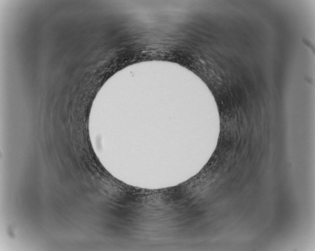 X0000095890769200802081116