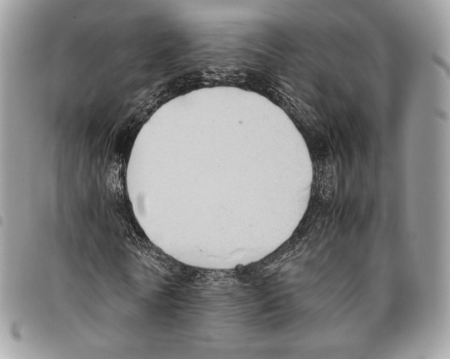 X0000095890770200802081116