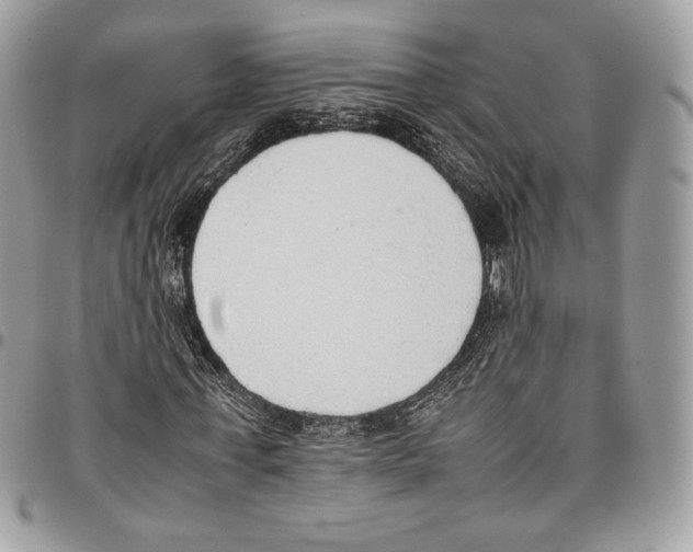 X0000095890771200802081116