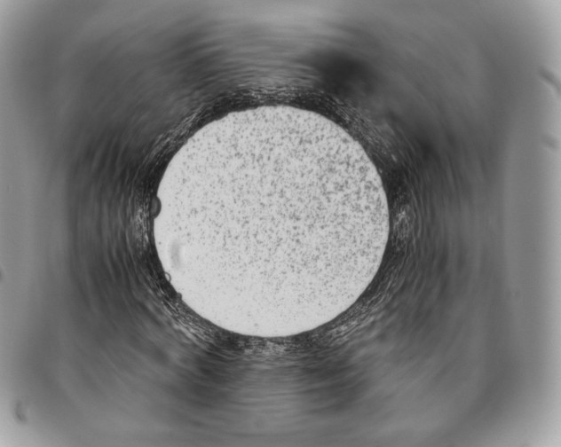 X0000095890772200802081116