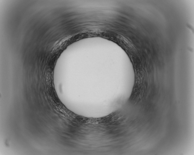 X0000095890773200802081116