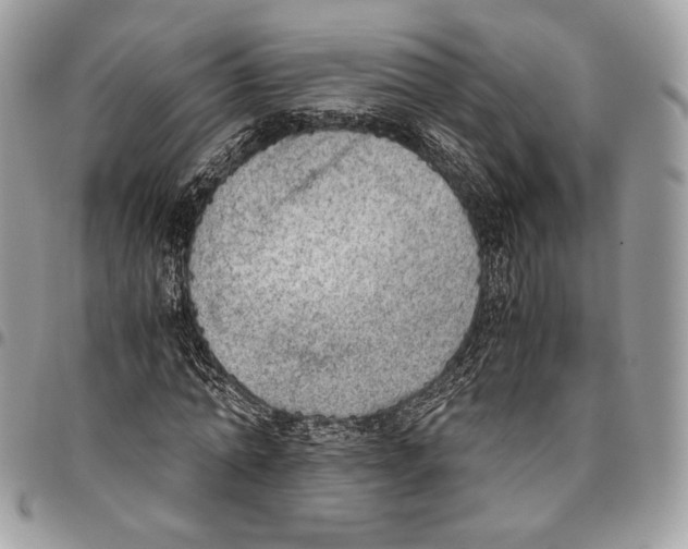 X0000095890774200802081116