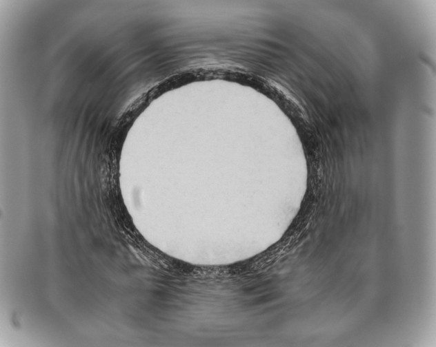 X0000095890775200802081116