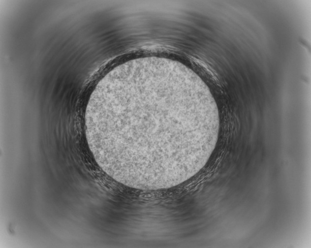 X0000095890776200802081116