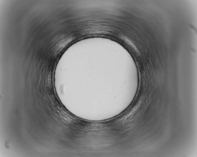 X0000095890777200802081116