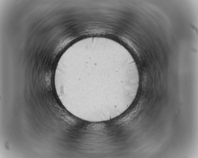 X0000095890778200802081116