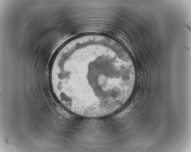 X0000095890779200802081116