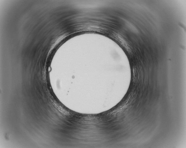 X0000095890780200802081116