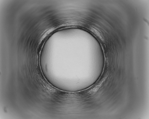 X0000095890781200802081116