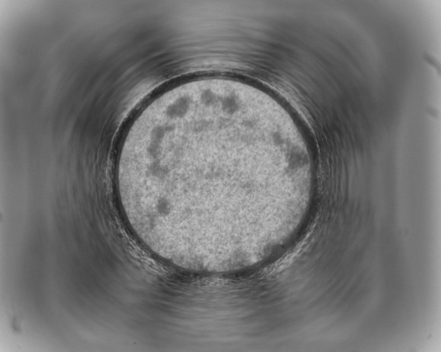 X0000095890783200802081116