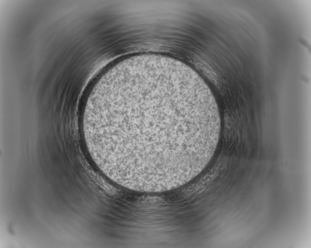 X0000095890784200802081116
