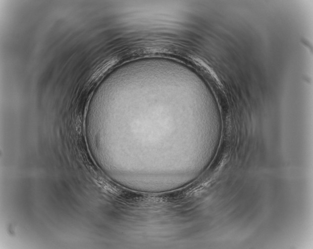 X0000095890785200802081116