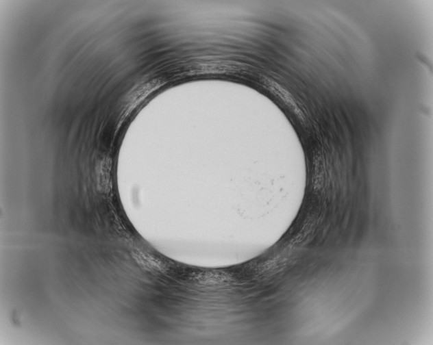 X0000095890786200802081116