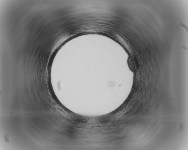 X0000095890787200802081116