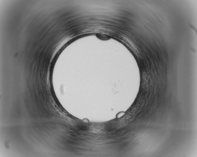 X0000095890788200802081116