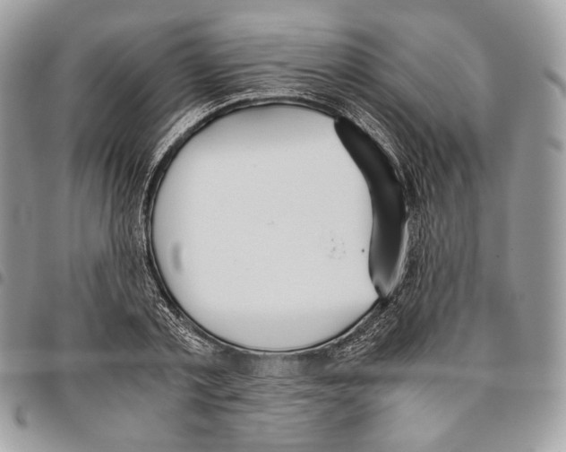 X0000095890789200802081116