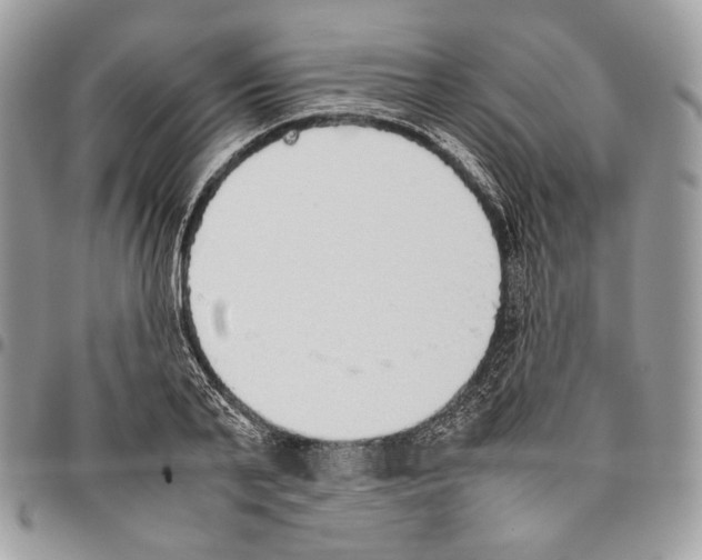 X0000095890791200802081116