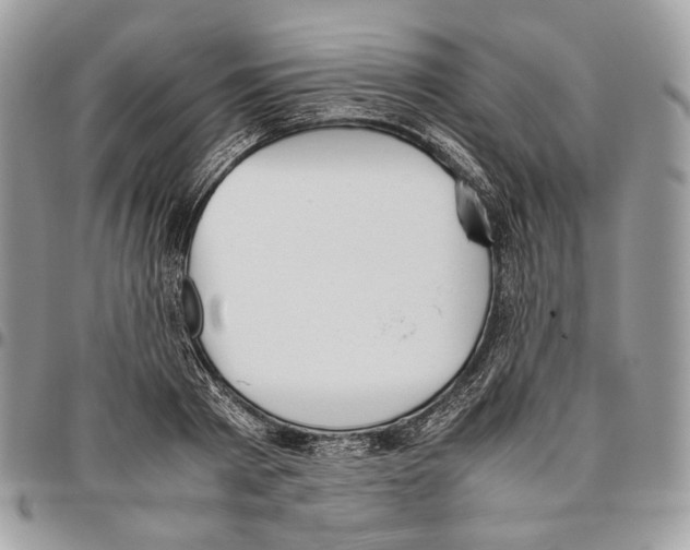 X0000095890793200802081116