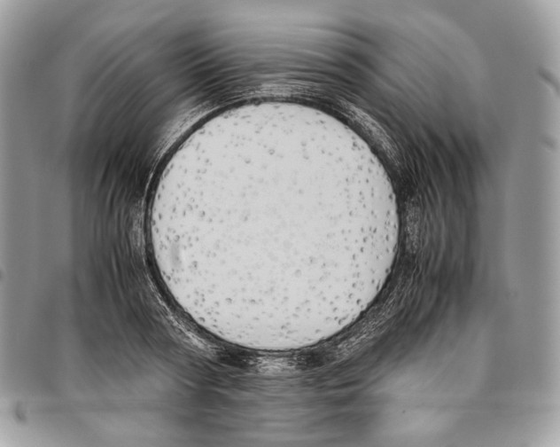 X0000095890794200802081116