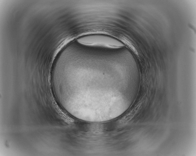 X0000095890797200802081116