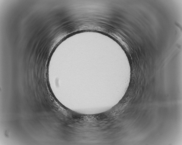 X0000095890799200802081116