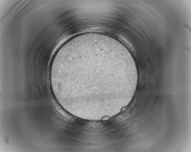 X0000095890800200802081116