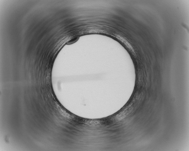 X0000095890801200802081116