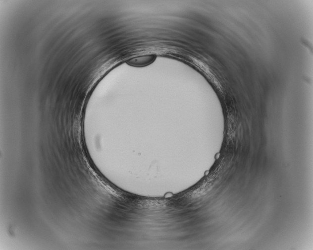 X0000095890802200802081116