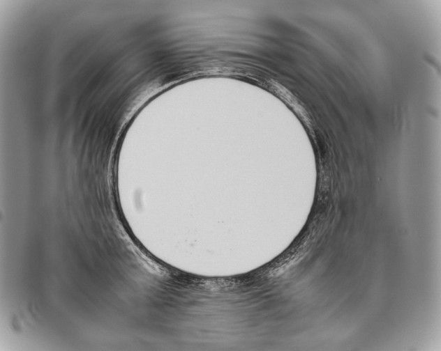 X0000095890803200802081116