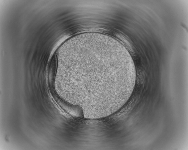 X0000095890804200802081116
