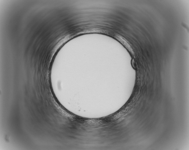 X0000095890805200802081116