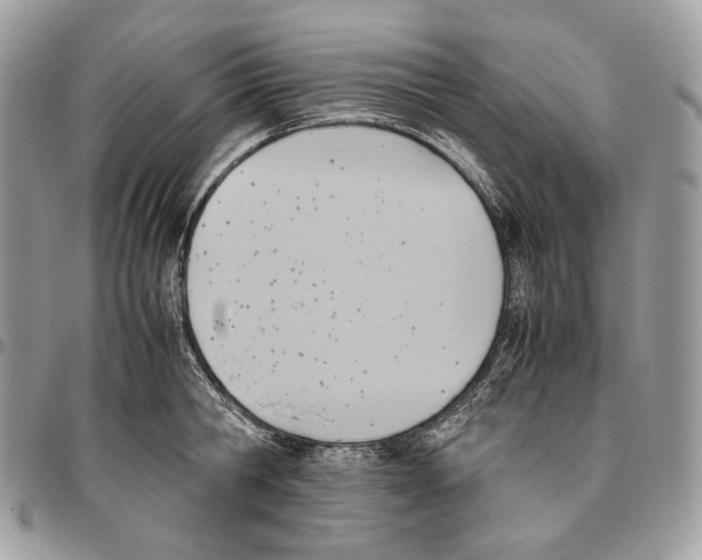 X0000095890806200802081116