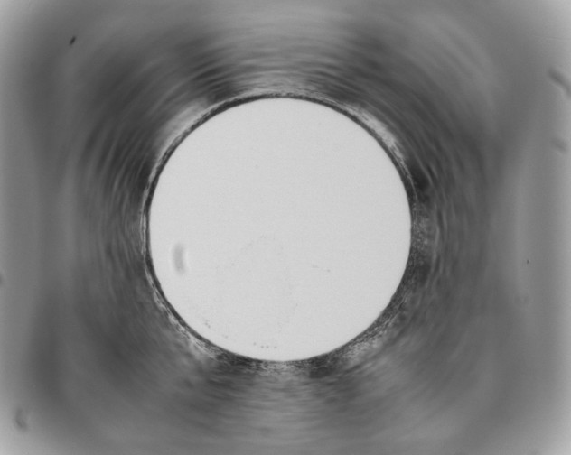 X0000095890807200802081116