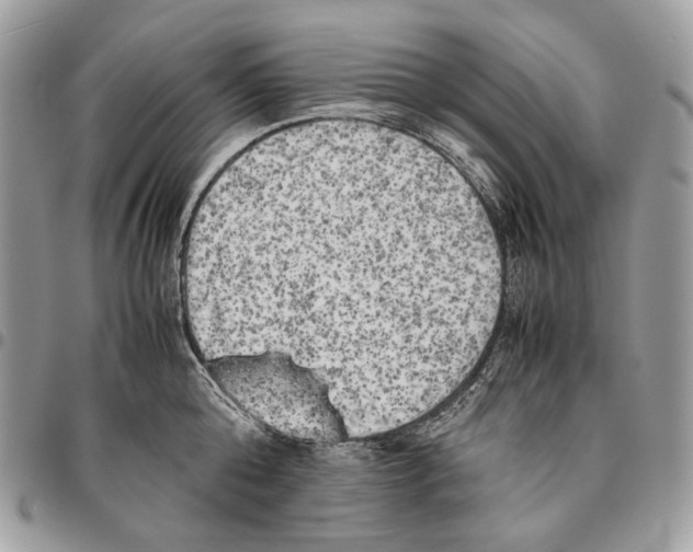 X0000095890808200802081116