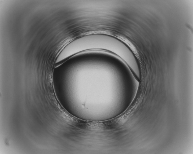 X0000095890809200802081116