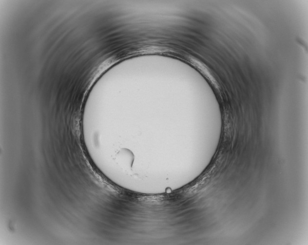 X0000095890810200802081116