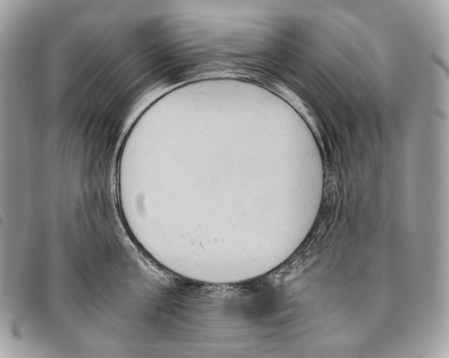 X0000095890811200802081116