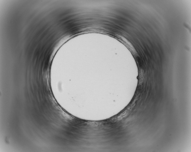 X0000095890812200802081116