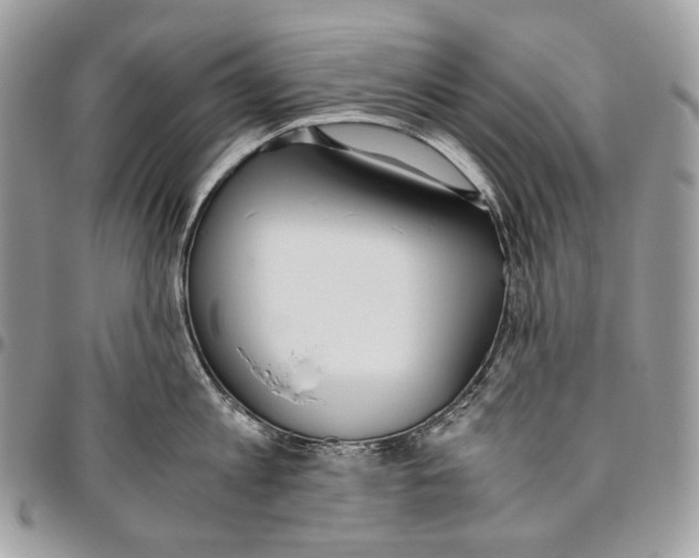 X0000095890813200802081116