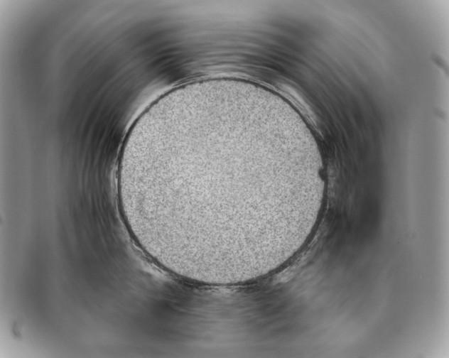 X0000095890814200802081116